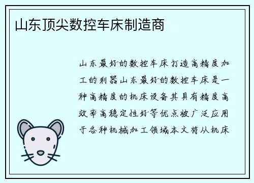 山东顶尖数控车床制造商